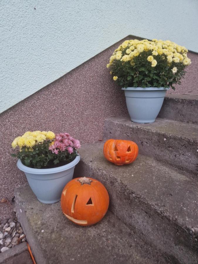 Ferienwohnung Am Gruenen Haus Garz  外观 照片